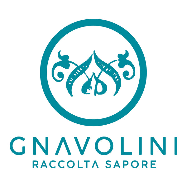  Gnavolini Raccolta Sapore